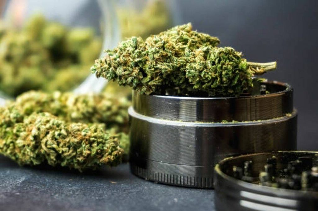 Journey of THCA Flowers