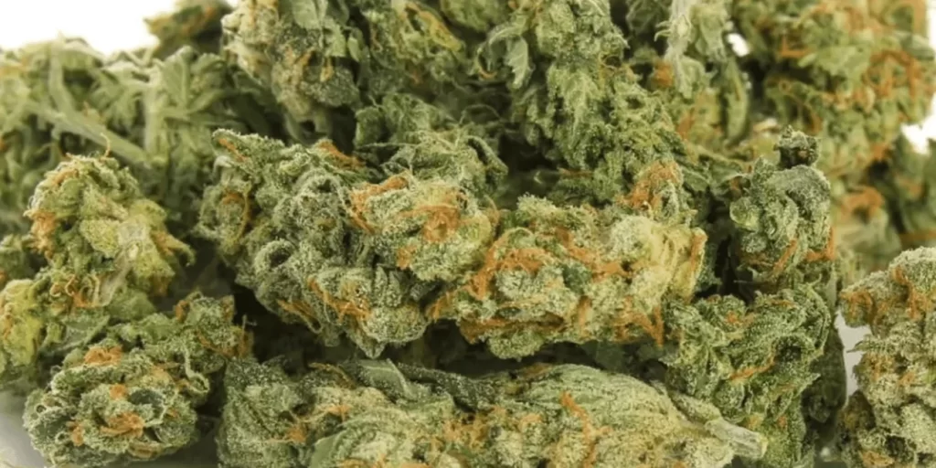 Thca Flowers